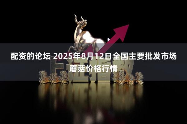 配资的论坛 2025年8月12日全国主要批发市场蘑菇价格行情